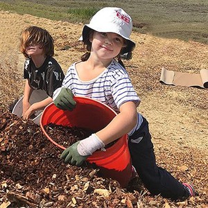 Restoration at Hal Brown Park