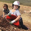 Restoration at Hal Brown Park Restoration at Hal Brown Park