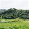 San Geronimo and Roy's Adventure Hike