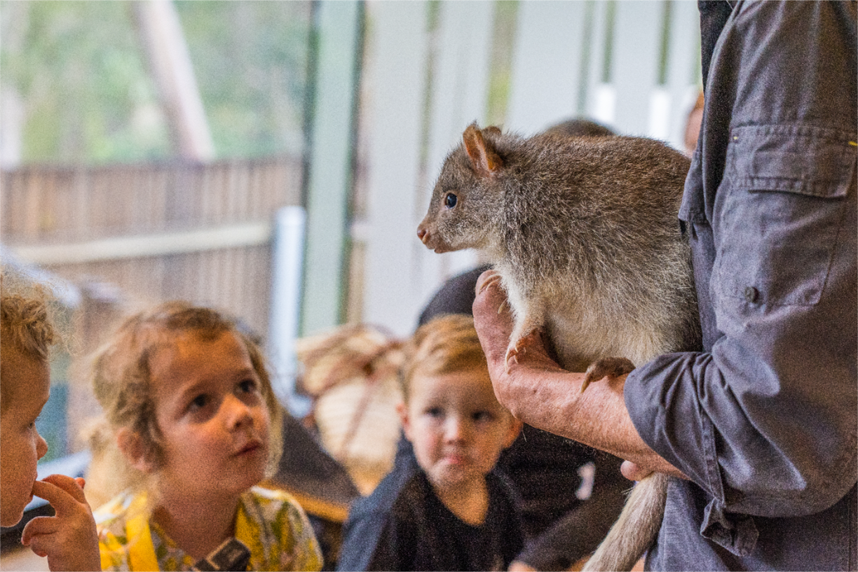 Bush Kindy - World Wildlife Day