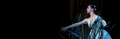 CANCELED: Re-Envisioning Giselle