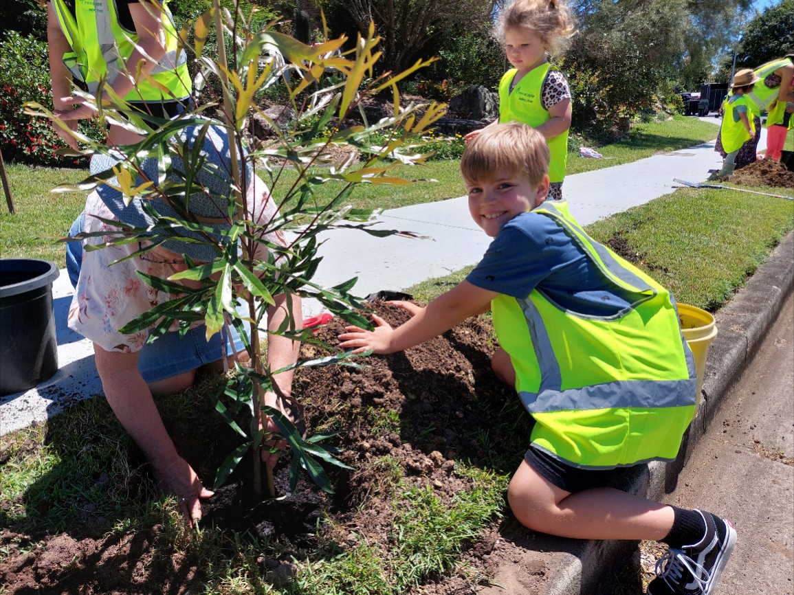 Everton Park community street tree planting