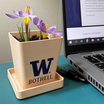 Free mini planter pot and seed planting