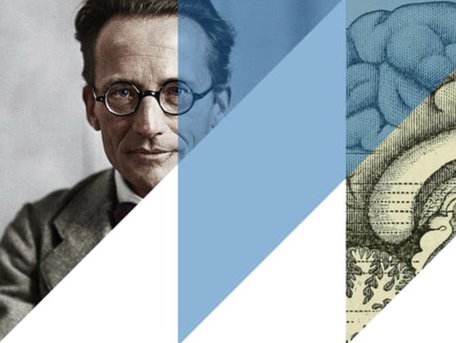 What is Memory?—A Neurohumanities Lunchtime Seminar