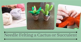 Felted Succulents, Plants or Cactus Class on August 2nd from 10:30 to 12:00