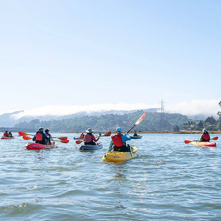 Kayaking the Bay