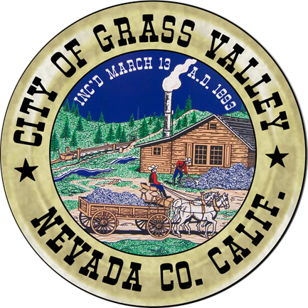 City Council Meeting