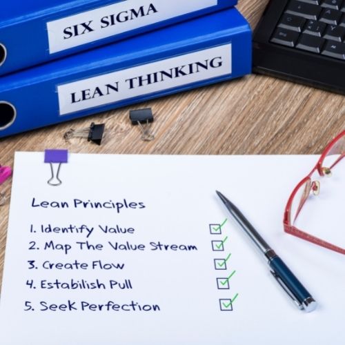 Championing Lean Six Sigma in Your Organization