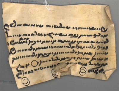 The Afrassiabi Distinguished Lecture in Persian & Iranian Studies 2022: "Perspectives on the fate of the Middle Iranian Languages"