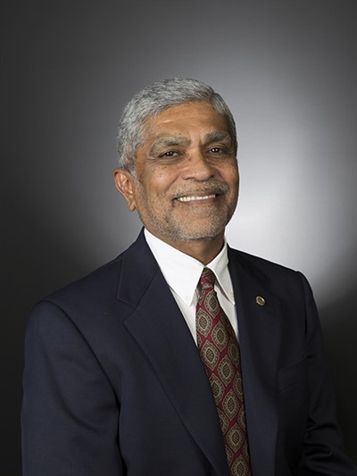 CEI Interdisciplinary Seminar: Vijay Vittal, Arizona State University