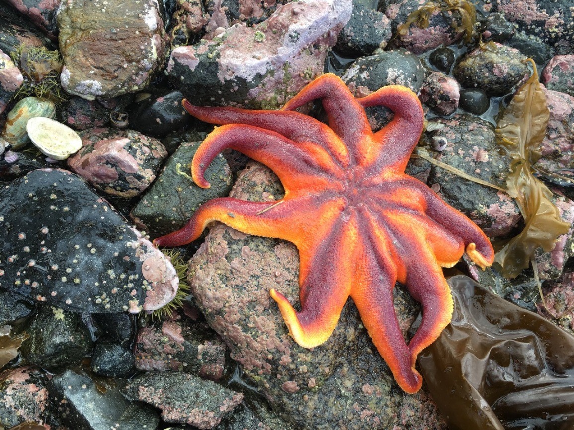 2023 Sustainable Oceans One-Day Research Symposium