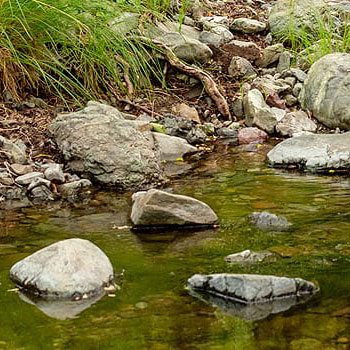 Cascade Bridges Public Meeting