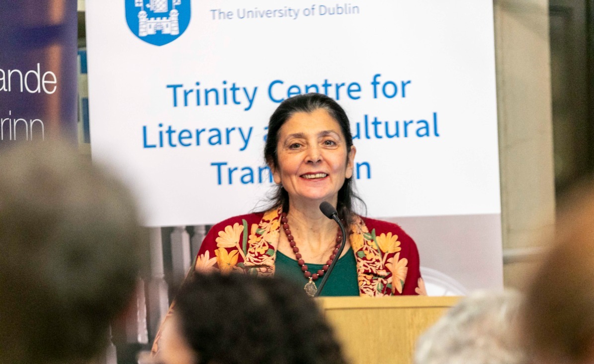 TLRH | Who's Afraid of Translator Studies? The Human Translator in Focus