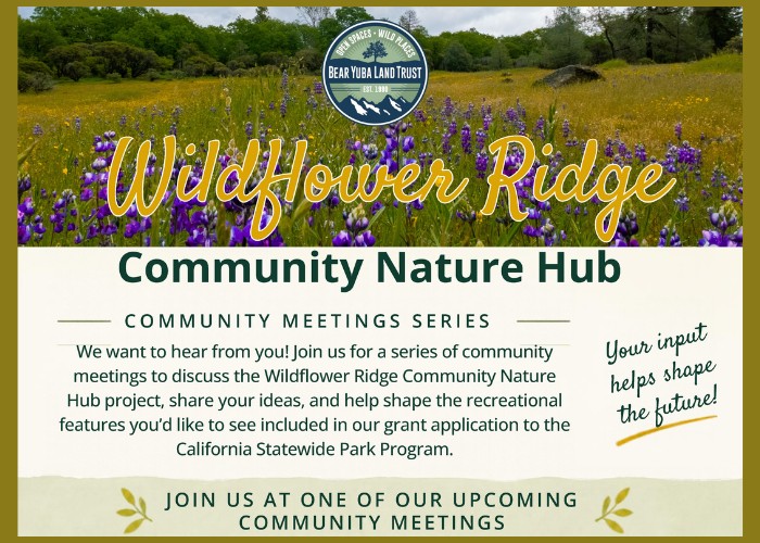 Wildflower Ridge Community Nature Hub Meeting