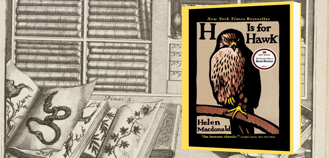 Bookmarked: H is for Hawk